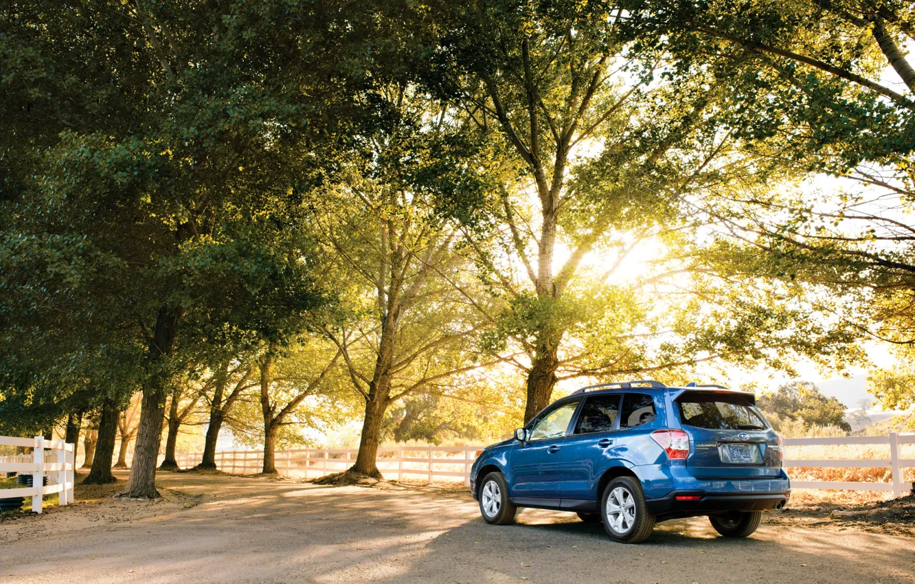 Фото обои деревья, парк, голубой, Subaru, Forester
