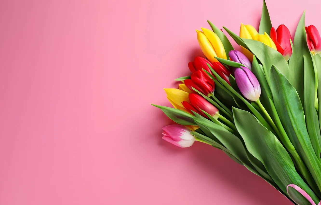 Фото обои цветы, букет, colorful, тюльпаны, flowers, tulips, spring, bouquet