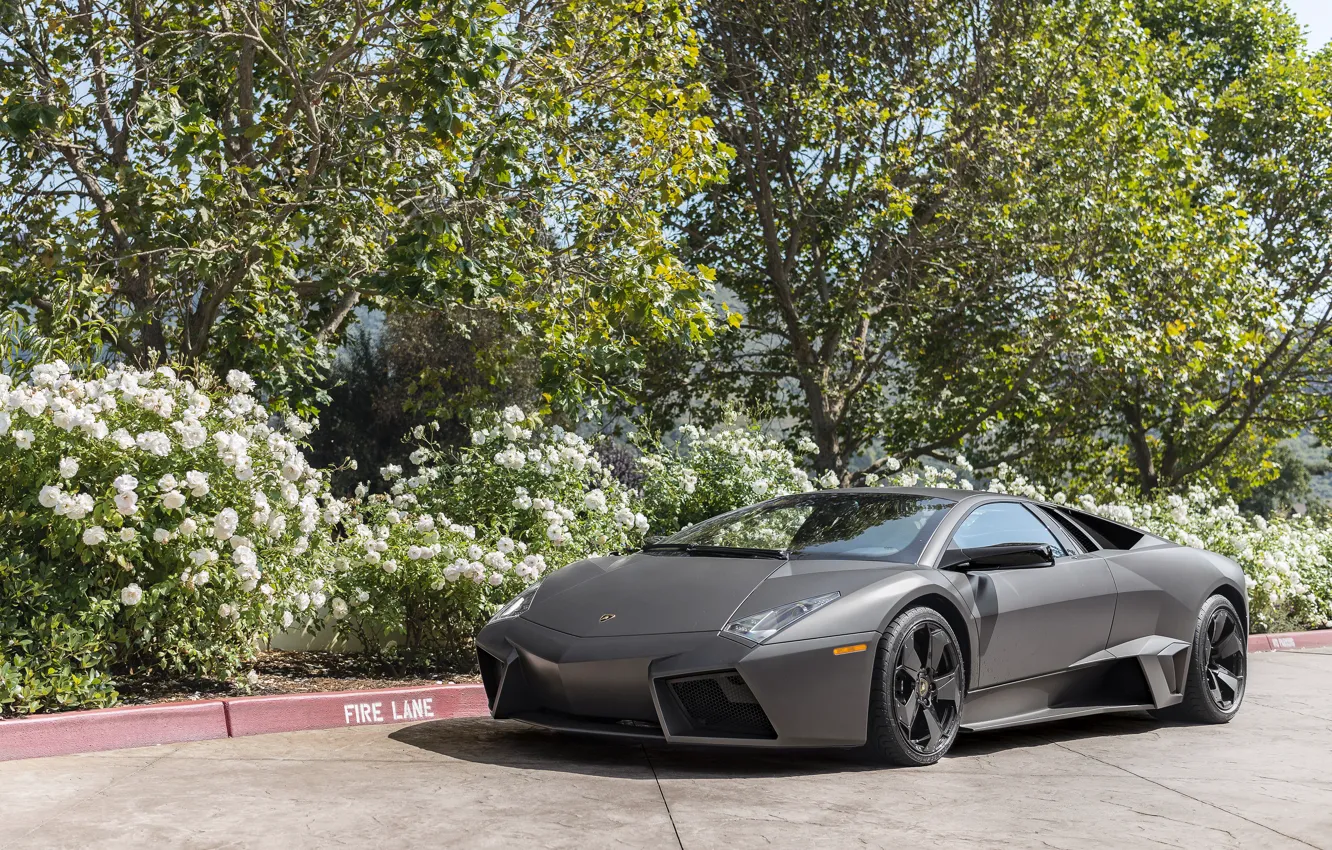 Фото обои Lamborghini, Reventon, black, matte