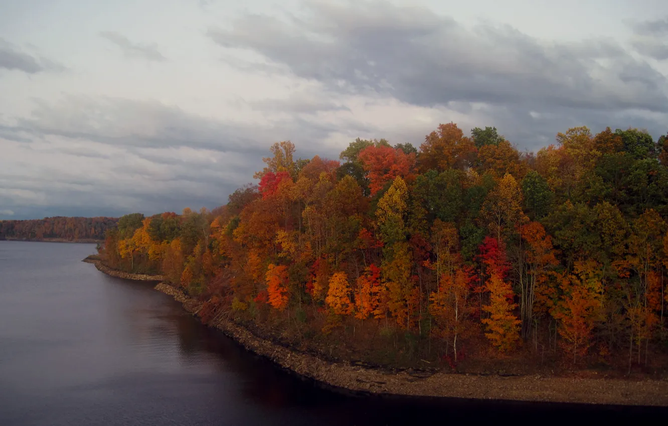 Фото обои осень, лес, река, вид, Природа, colors, вечер, forest