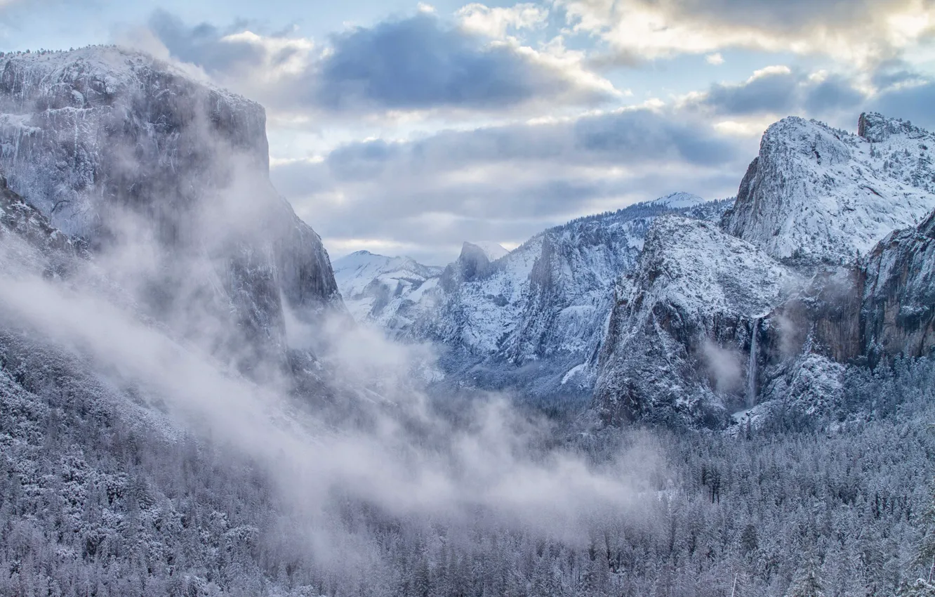Фото обои зима, лес, горы, долина, Калифорния, California, Yosemite Valley, Национальный парк Йосемити