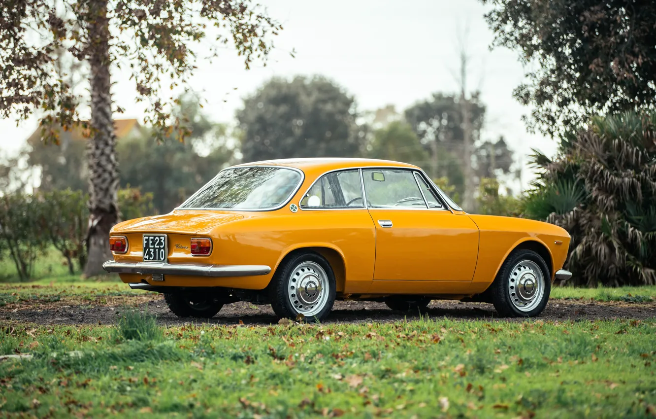 Фото обои Alfa Romeo, 1967, Giulia, Alfa Romeo Giulia Sprint GT