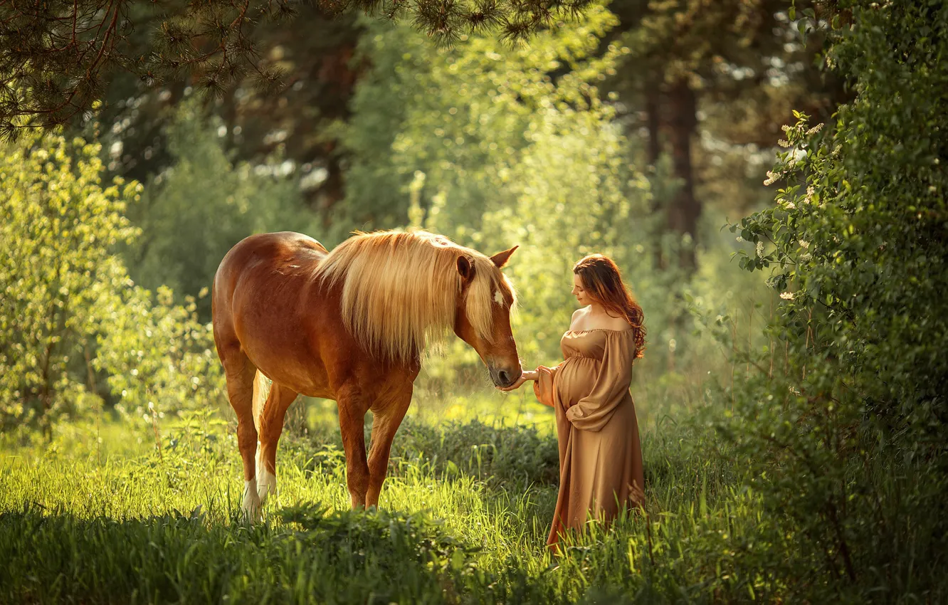 Фото обои лес, лето, свет, настроение, конь, женщина, лошадь, живот