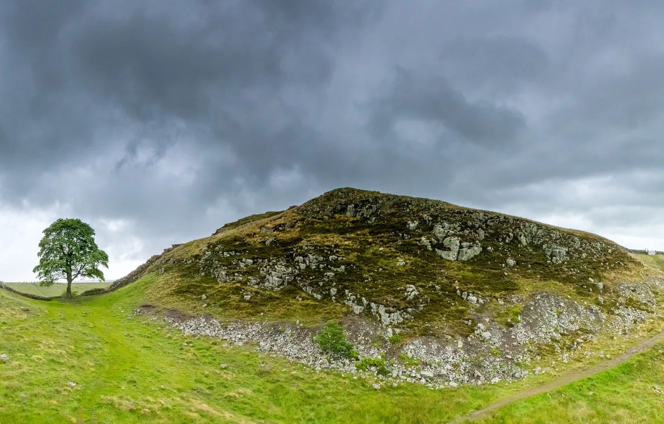 Фото обои деревья, горы, тучи, холмы