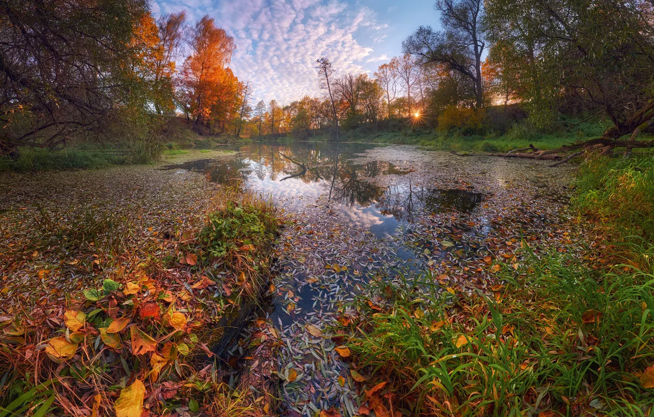 Фото обои осень, листья, деревья, пейзаж, природа, река, Константин Воронов, Суходрев