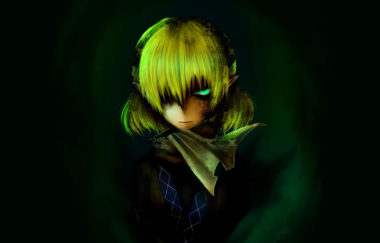 Фото обои взгляд, девушка, арт, уши, touhou, зеленый фон, Mizuhashi Parsee