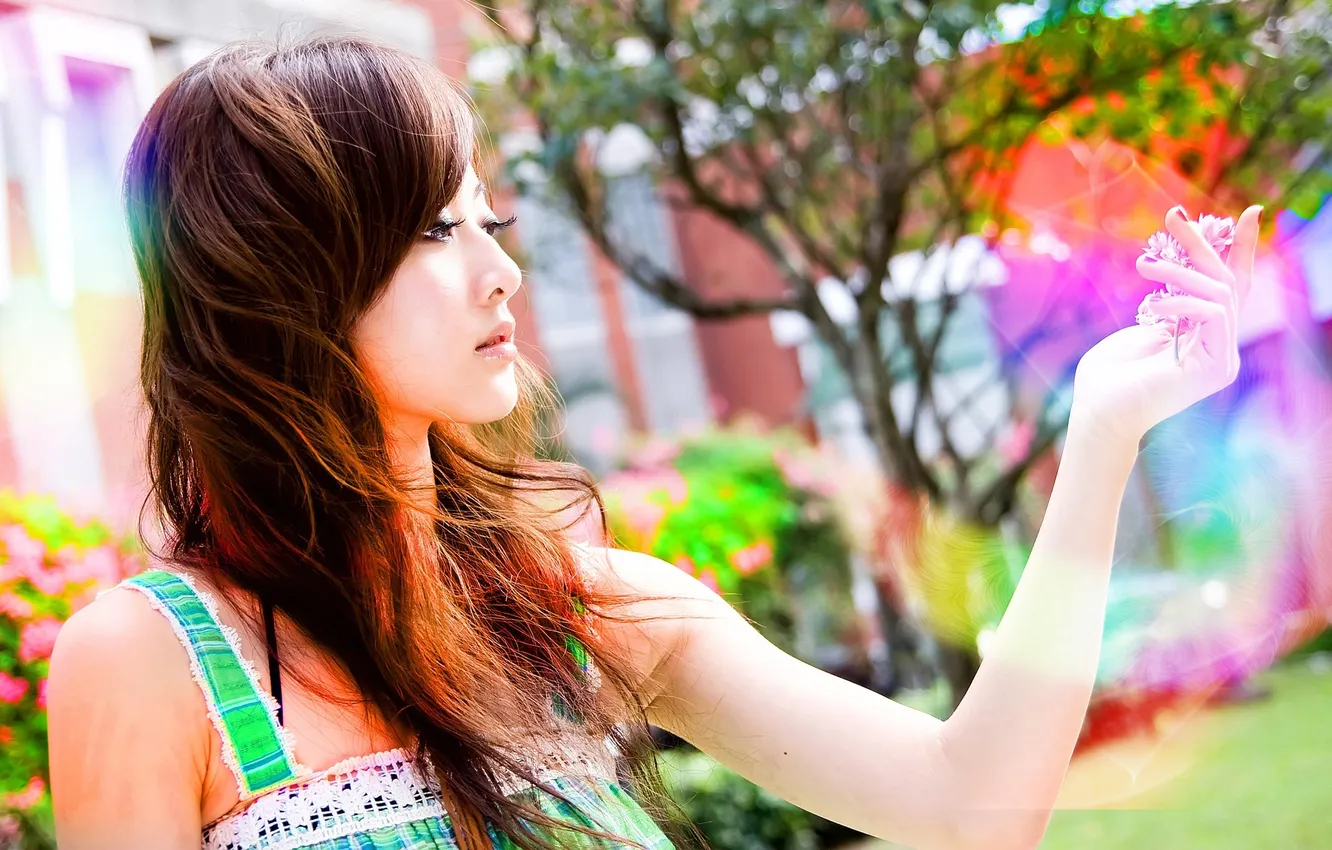 Фото обои цветок, девушка, брюнетка, girl, азиатка, Asian, wallpapers
