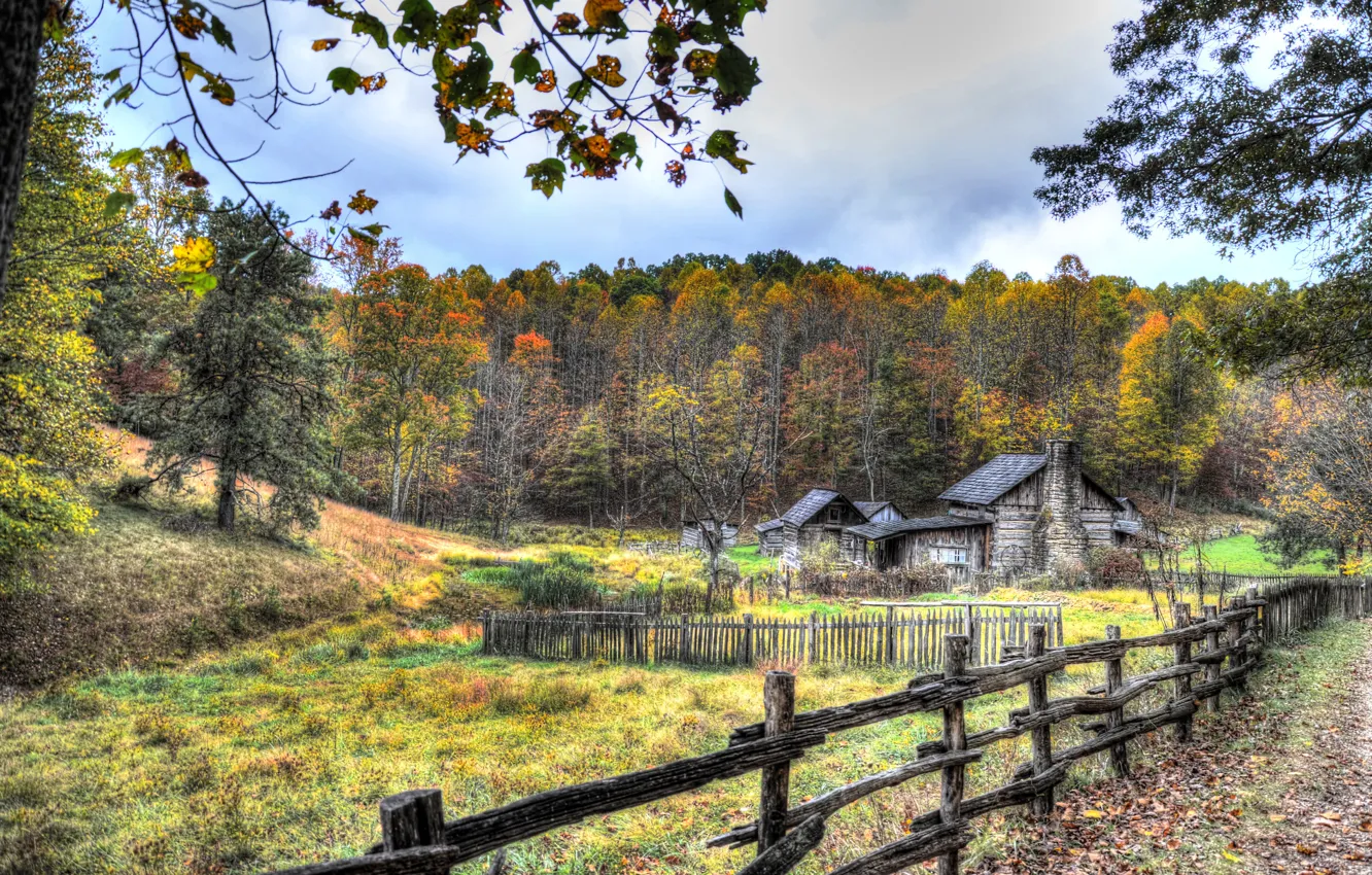 Фото обои осень, лес, трава, листья, деревья, ветки, дом, забор