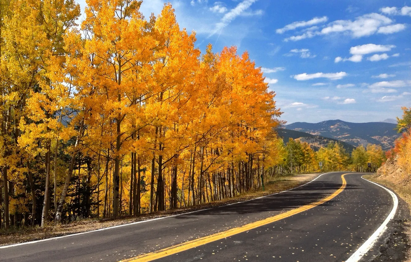 Фото обои дорога, осень, лес, небо, листья, деревья, горы, природа