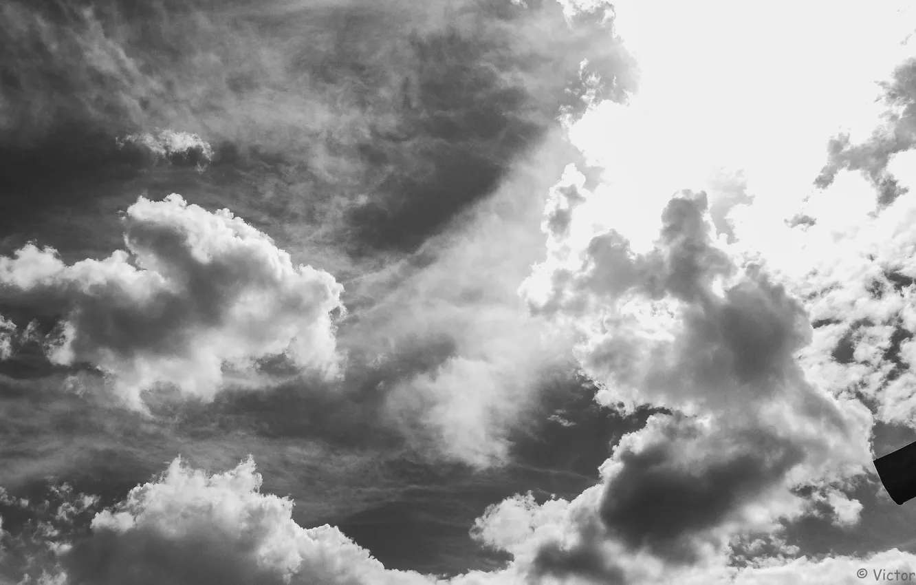 Фото обои небо, облака, чернобелое