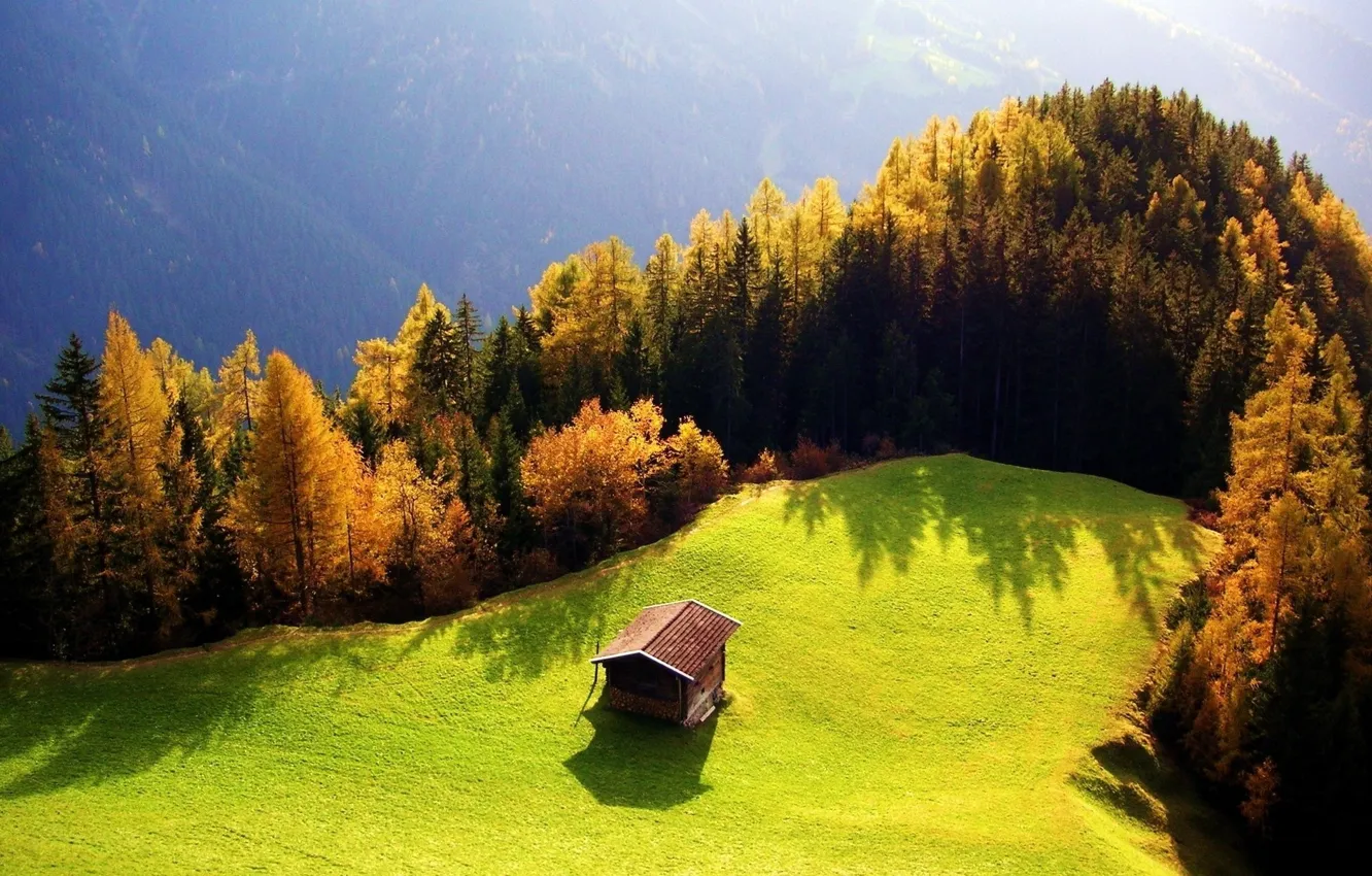 Фото обои green, house, sky, trees, field, sea, cliff