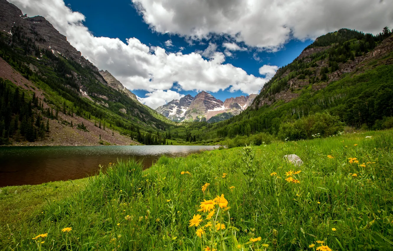 Фото обои лес, трава, облака, деревья, цветы, горы, озеро, скалы