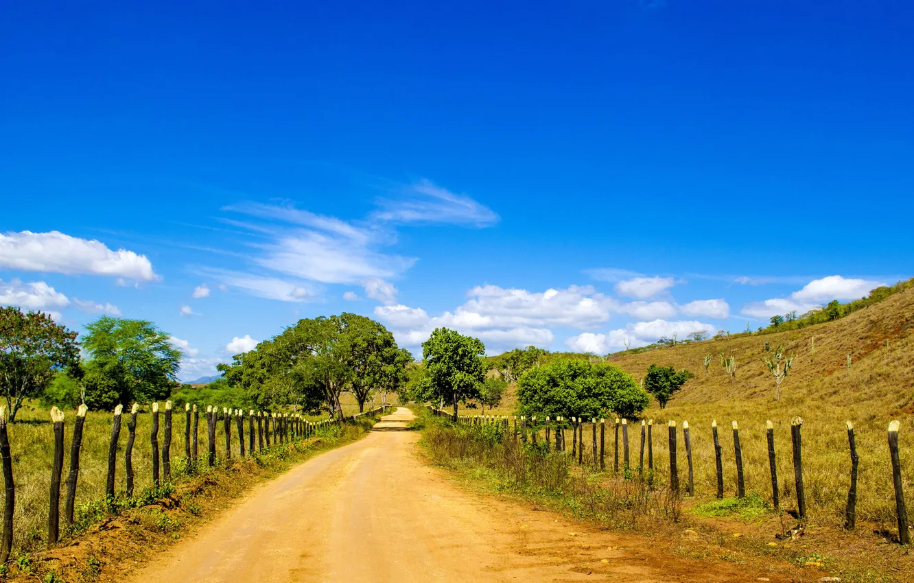 Фото обои дорога, небо, облака, забор, поля, Бразилия, сельская местность, фермы