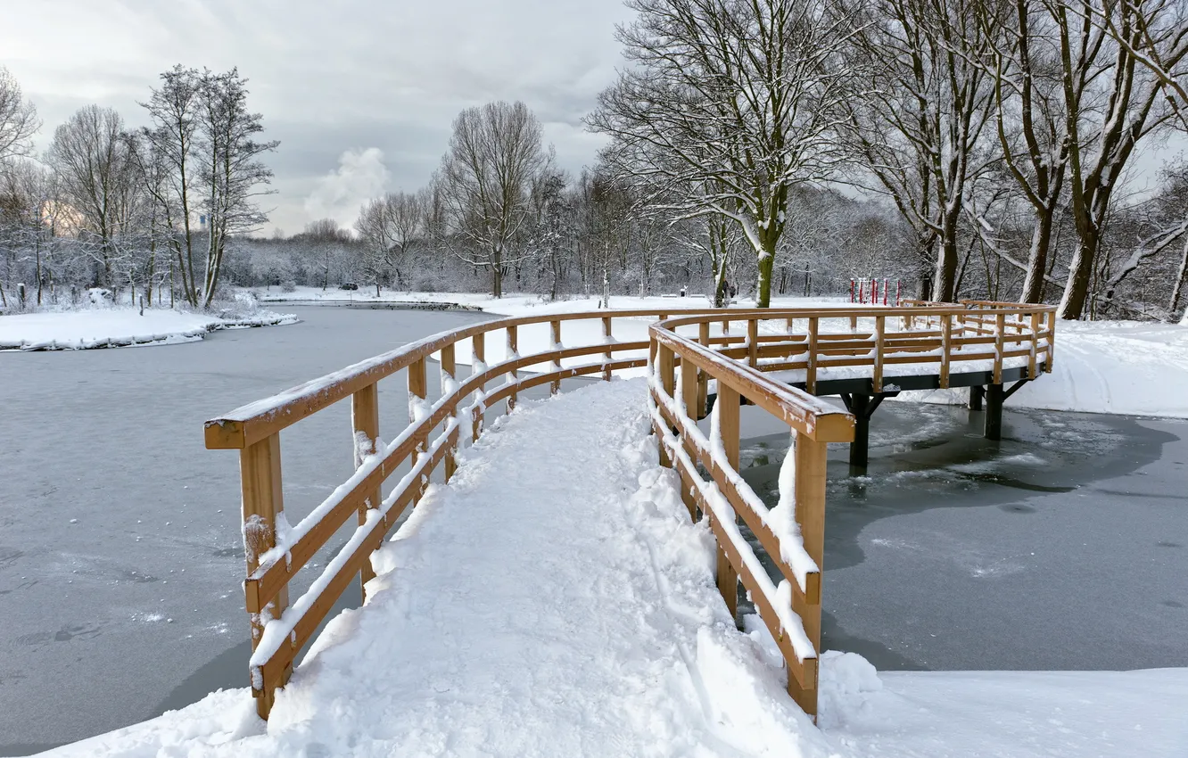Фото обои зима, мост, парк
