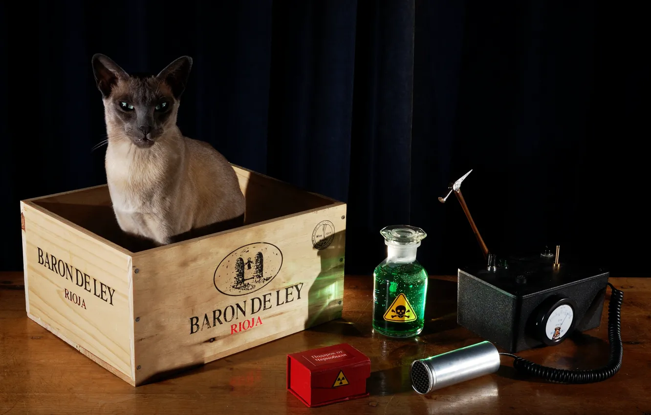Фото обои кот, стол, радиация, черный фон, натюрморт, ящик, физика, прибор