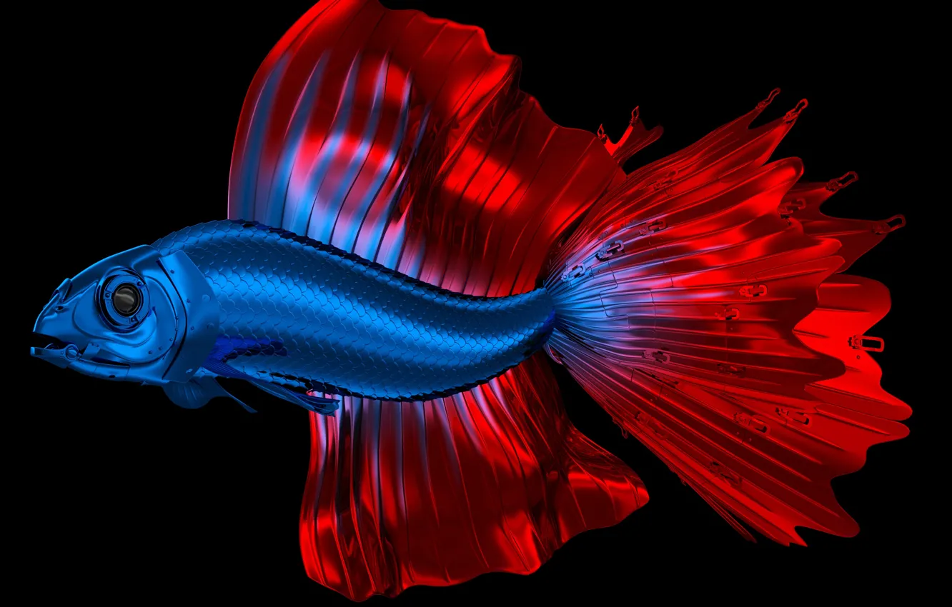 Фото обои металл, цвет, рыбка, петушок