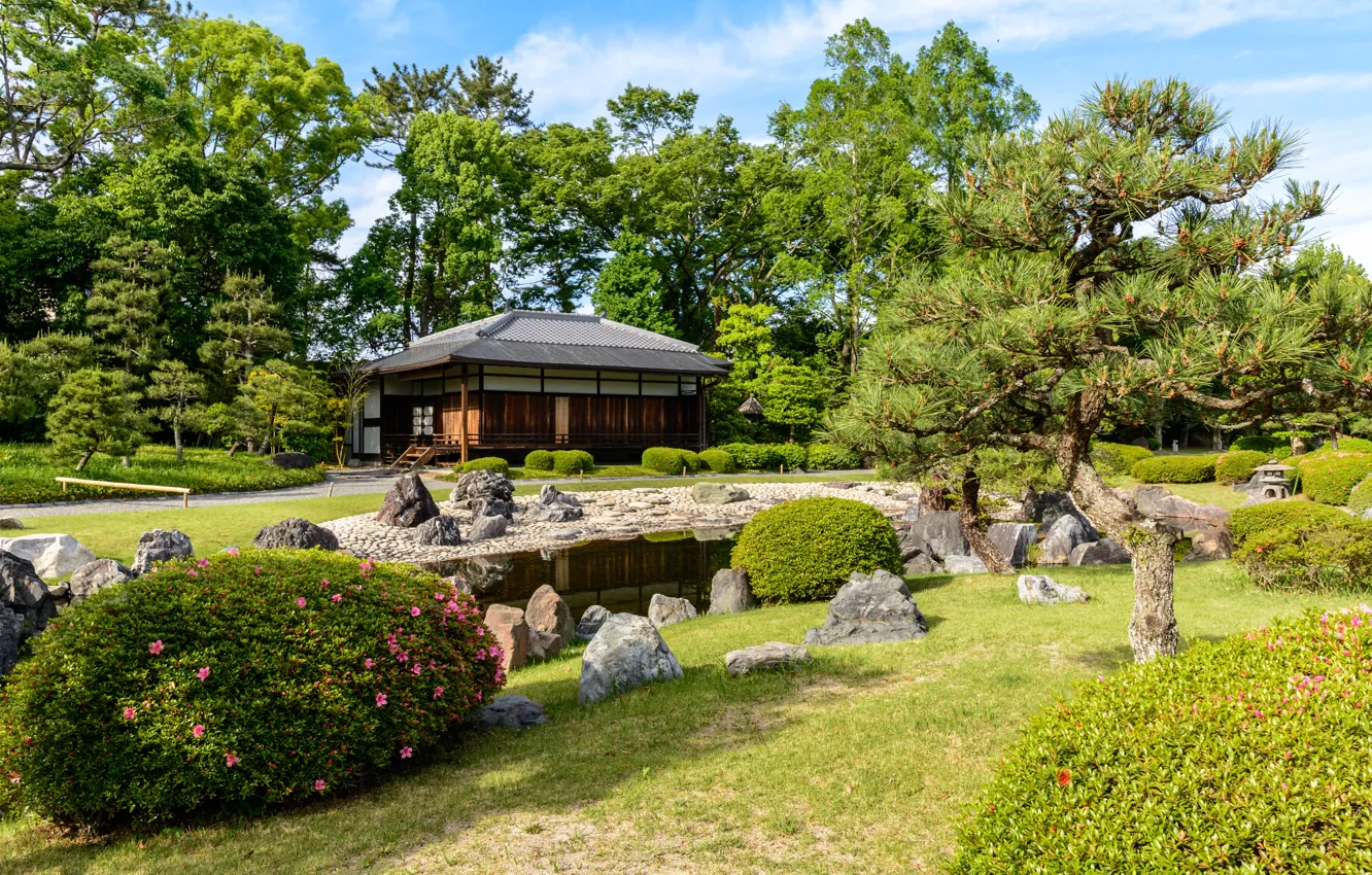 Фото обои Природа, Япония, Сад, Пруд, Парк, Киото