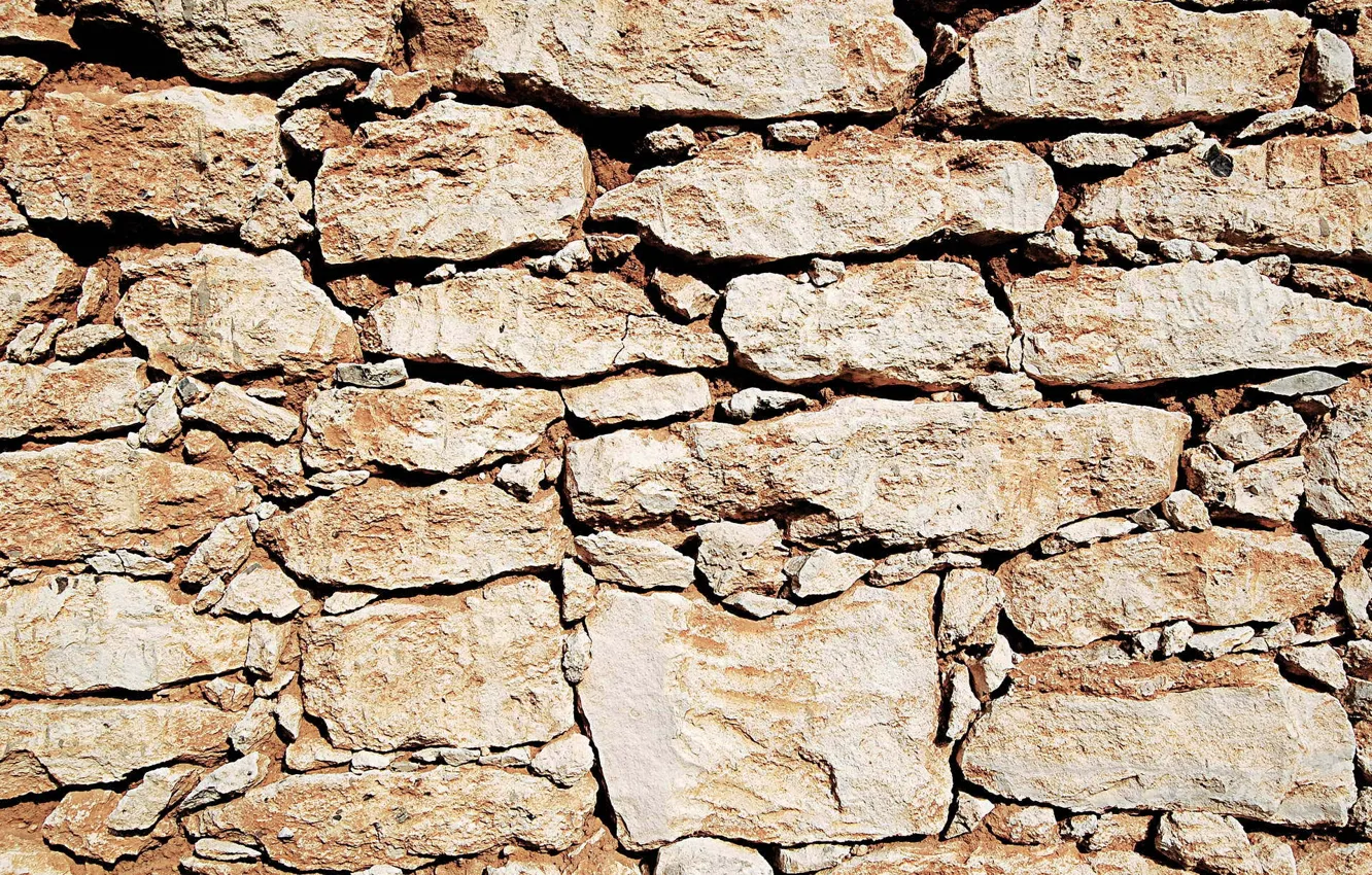 Фото обои стена, камень, текстура, коричневый