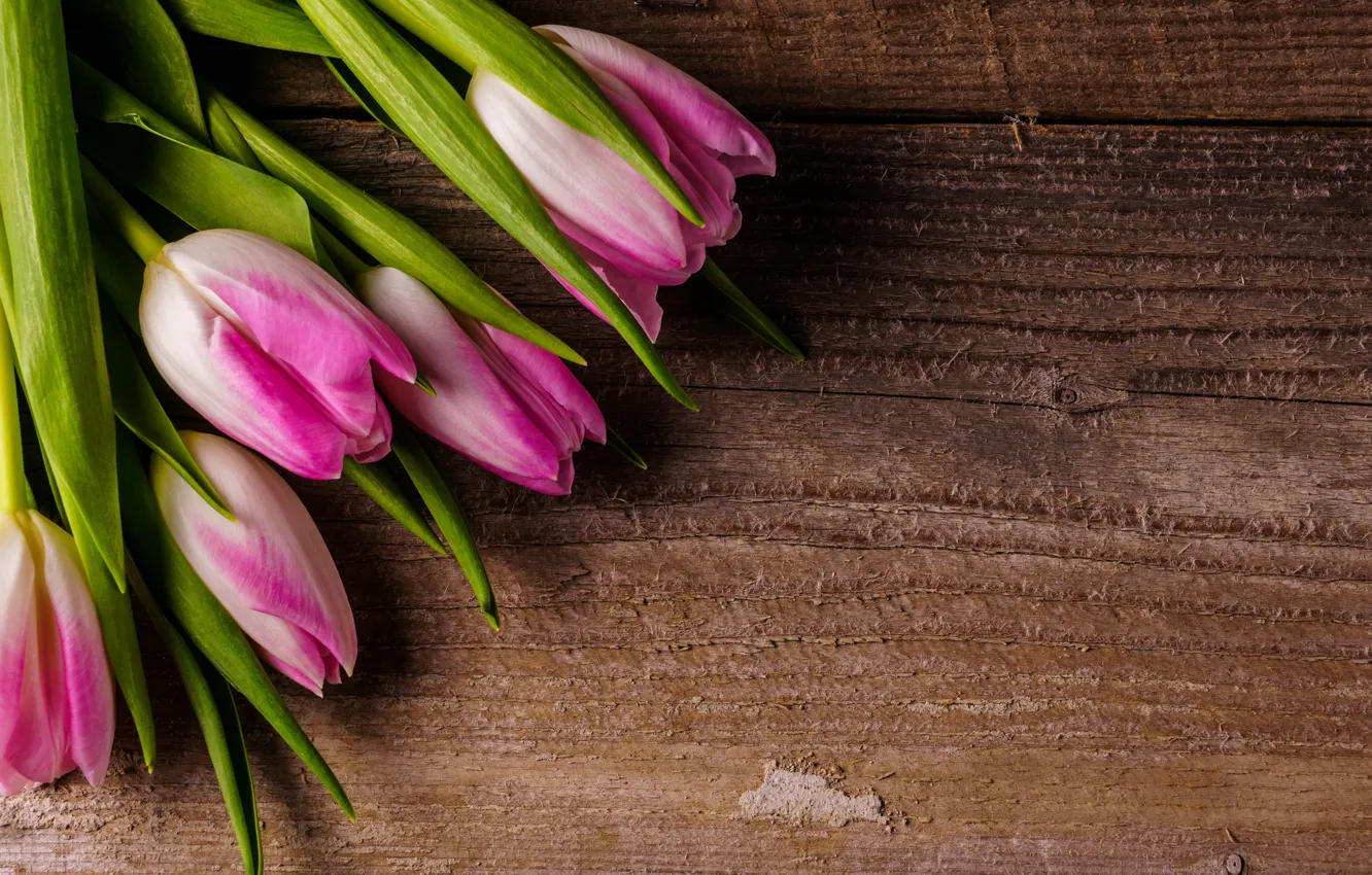 Фото обои цветы, букет, тюльпаны, розовые, fresh, wood, pink, flowers