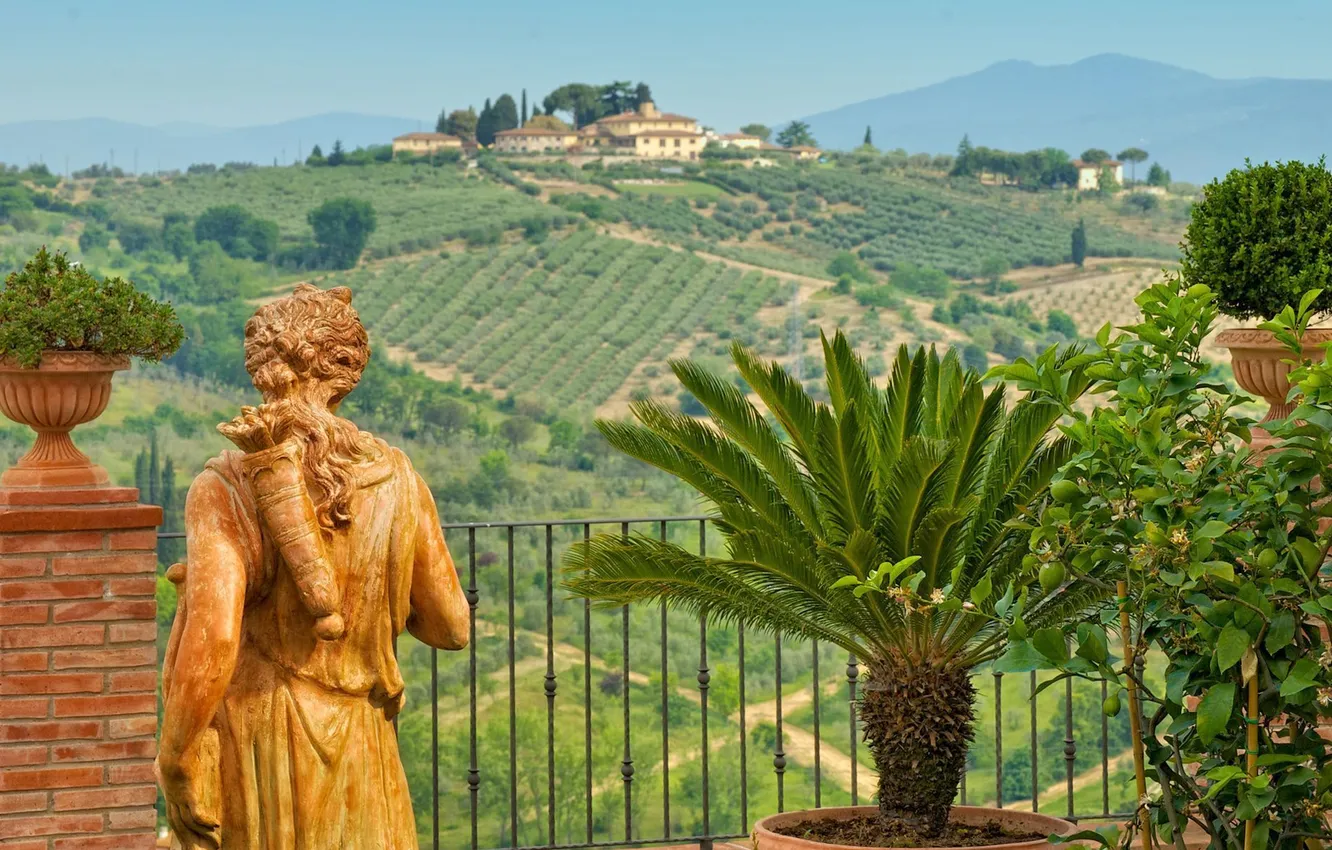 Фото обои пальма, поля, Италия, статуя, Italy, вазы