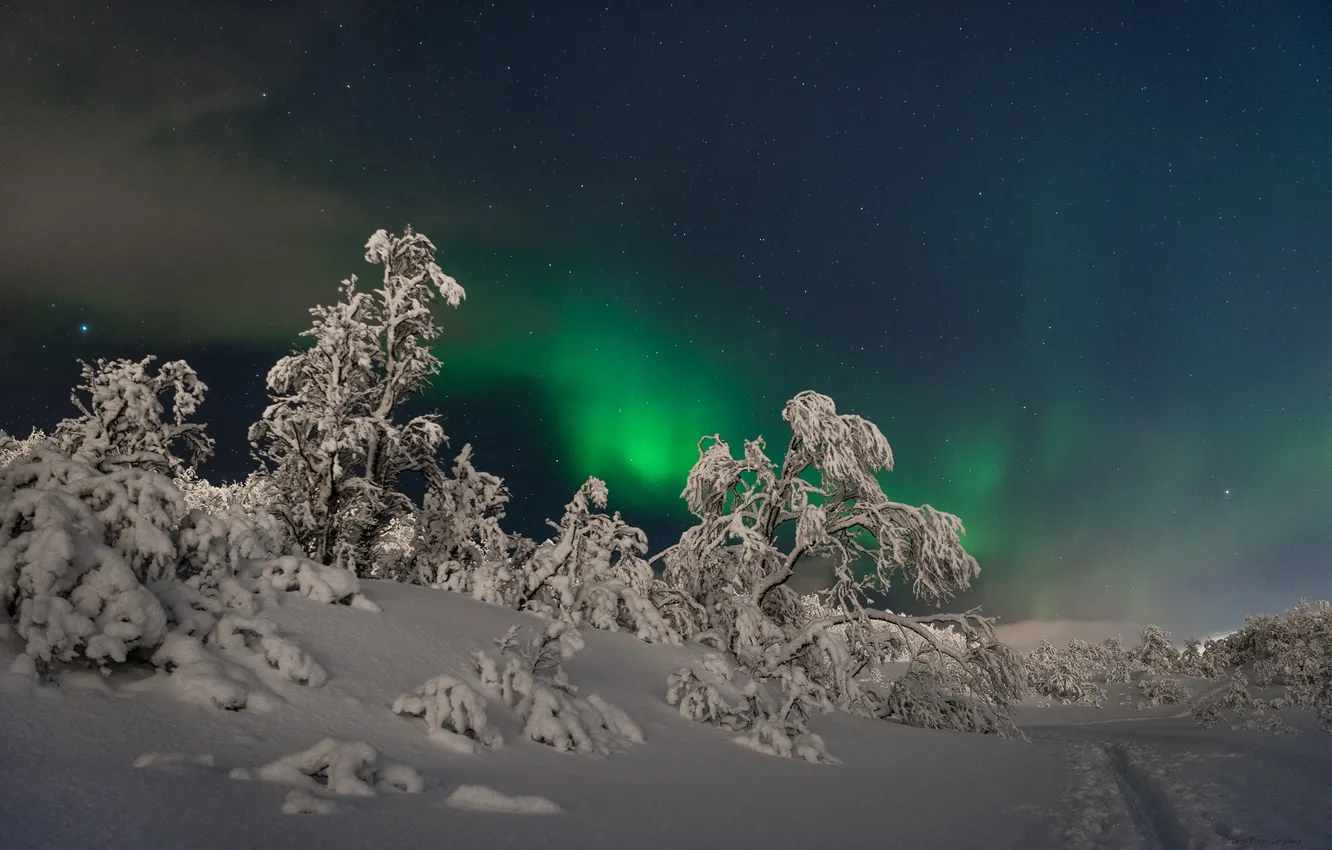 Фото обои зима, звезды, снег, пейзаж, северное сияние