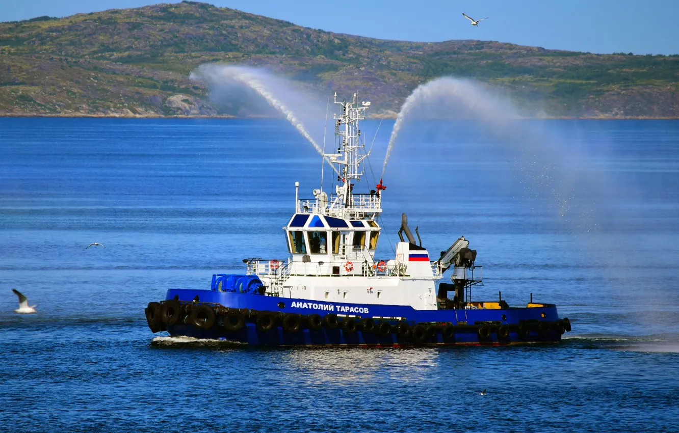 Фото обои буксир, парад, североморск