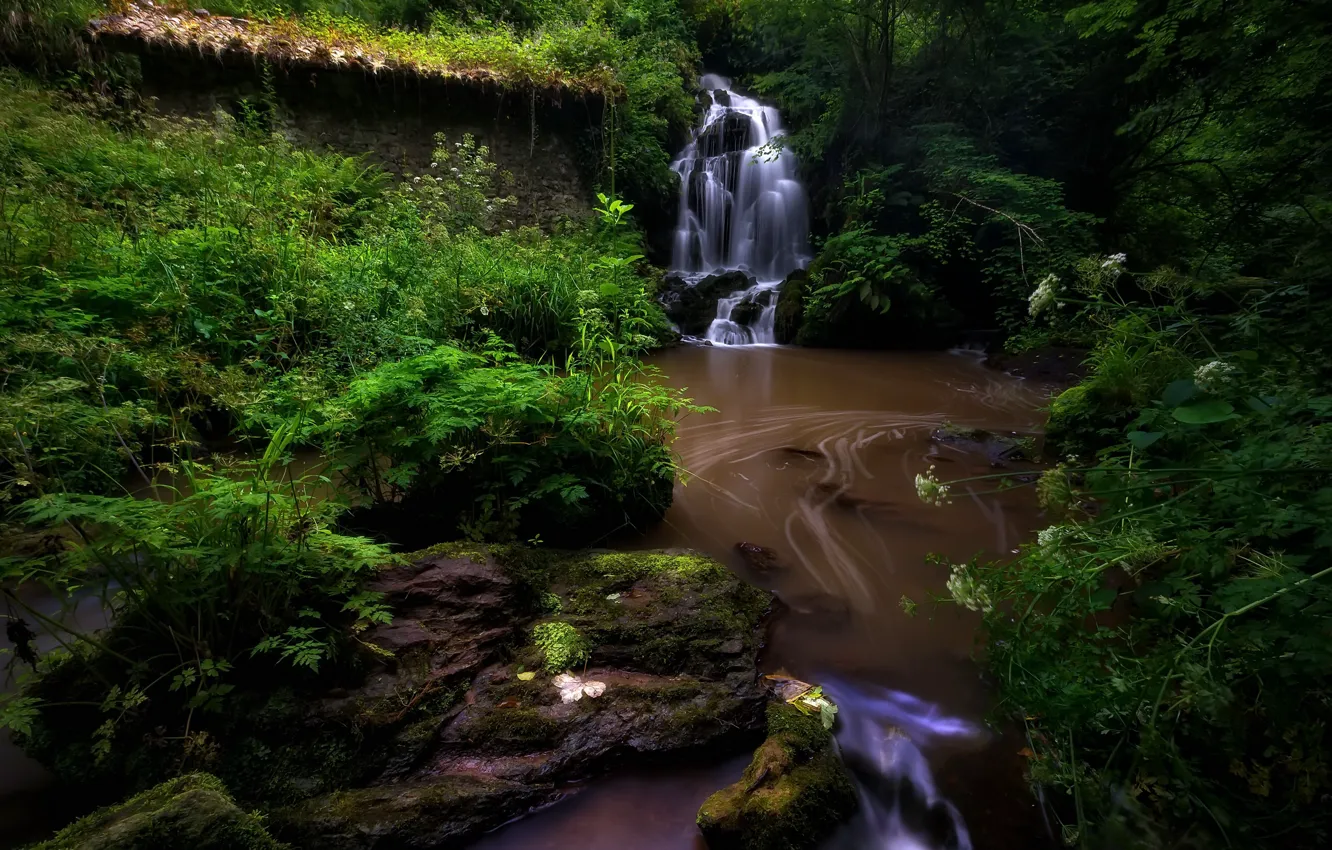 Фото обои лес, река, водопад