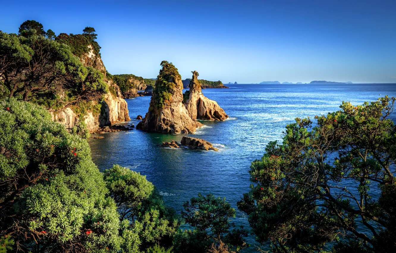 Фото обои море, небо, солнце, деревья, камни, скалы, побережье, Новая Зеландия