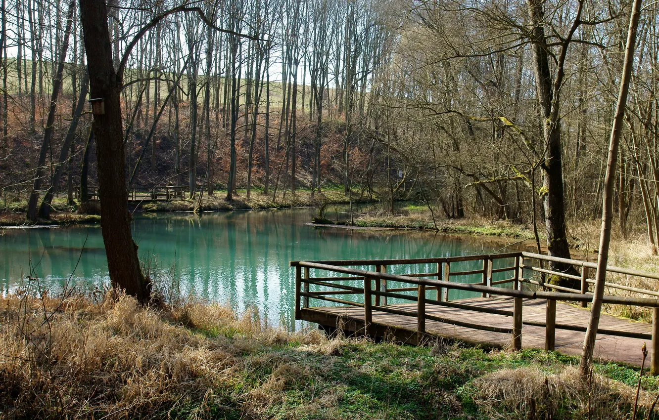 Фото обои озеро, пруд, скворечник, мостик