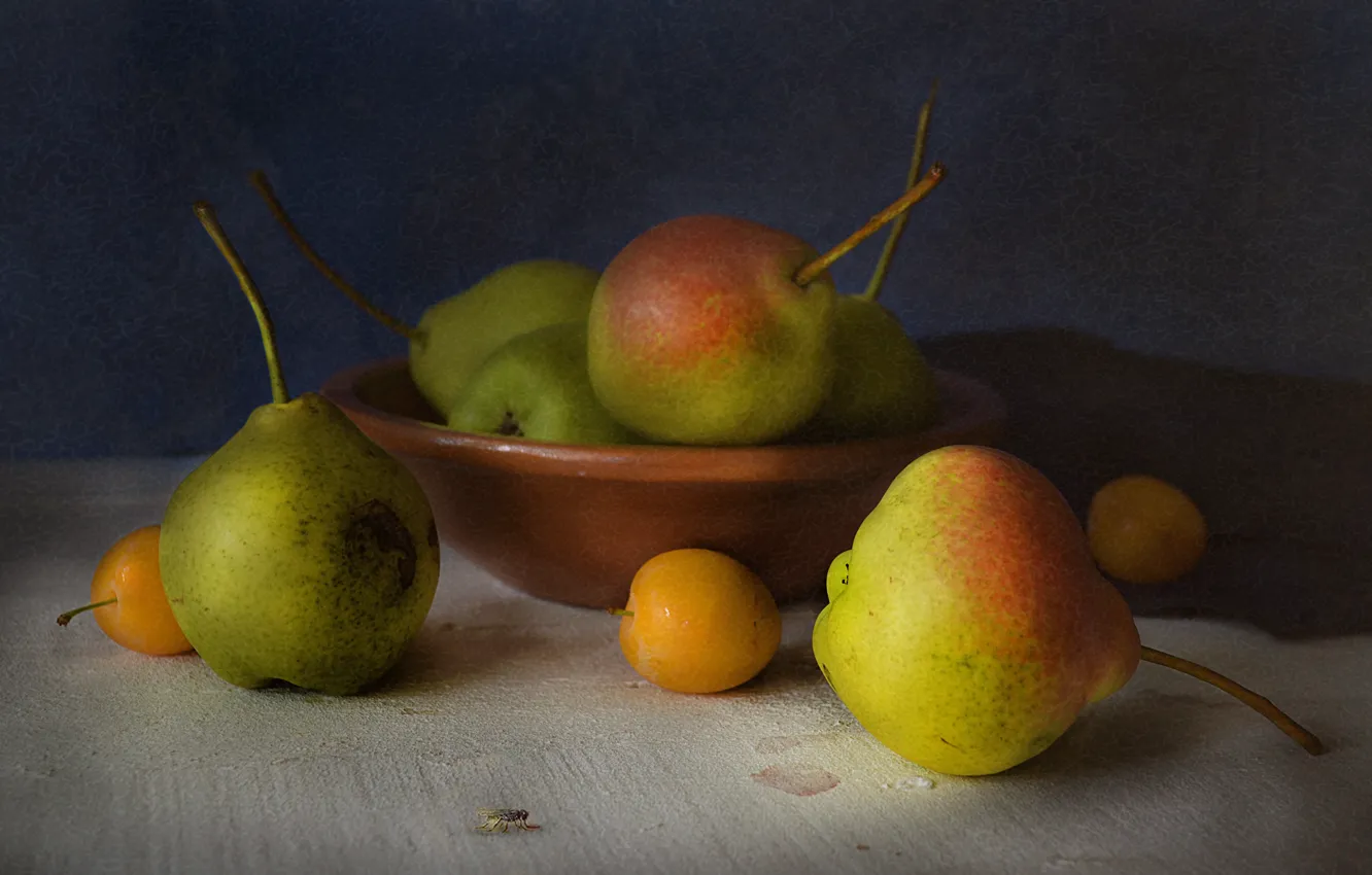 Фото обои стол, муха, плоды, груша, фрукты, натюрморт, алыча
