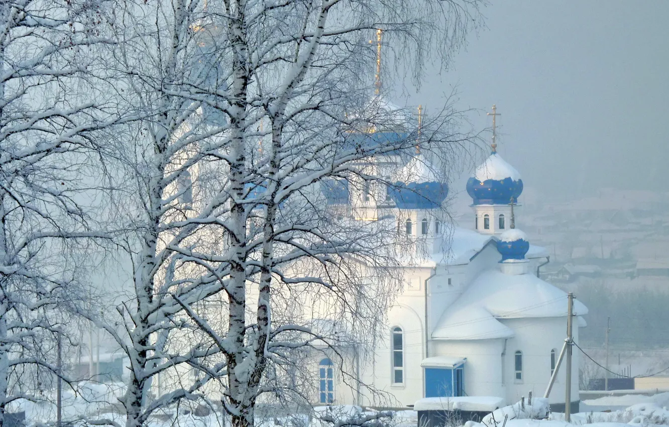 Фото обои зима, снег, деревья, храм