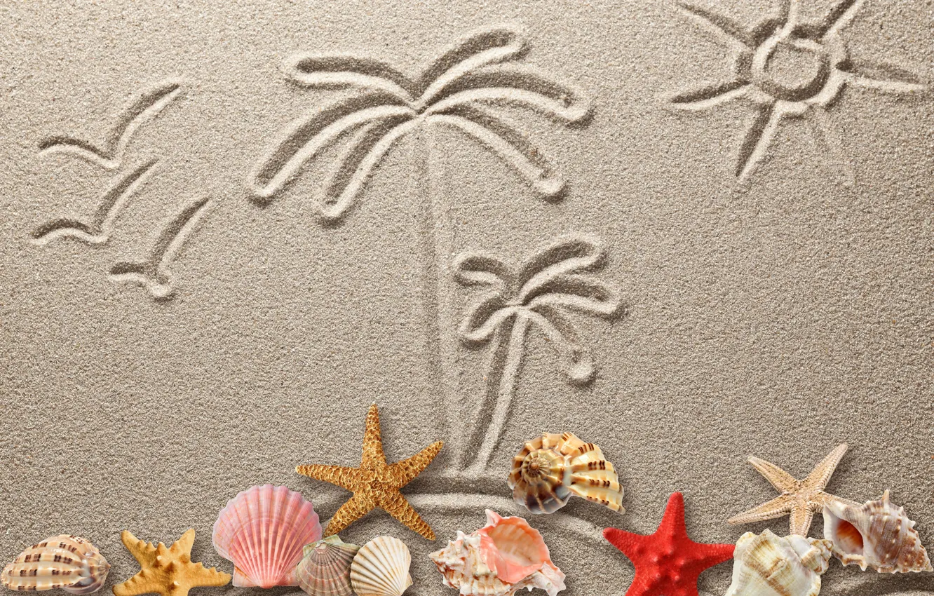 Фото обои песок, рисунок, ракушки, texture, sand, drawing, starfish, seashells