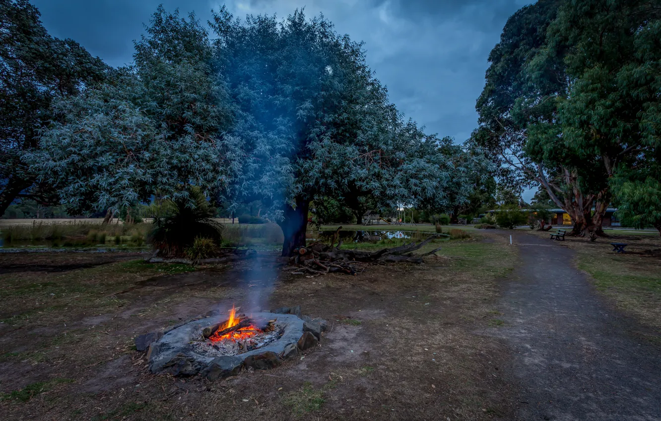 Фото обои деревья, парк, огонь, тропа, вечер, костер, Австралия, trees