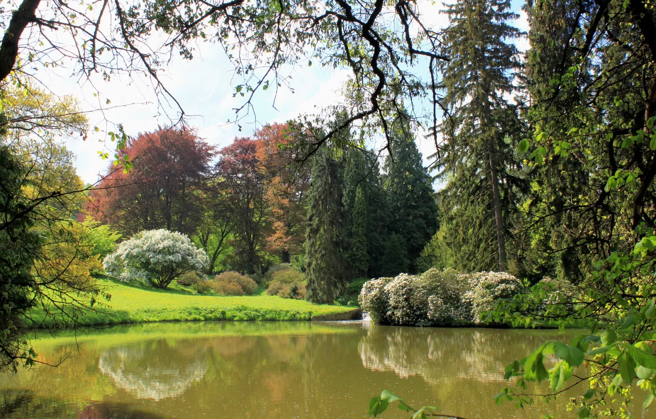 Фото обои трава, деревья, ветки, озеро, парк, Чехия, кусты, Pruhonice