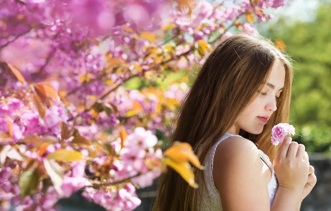 Фото обои девушка, цветы, весна, шатенка, цветущие деревья