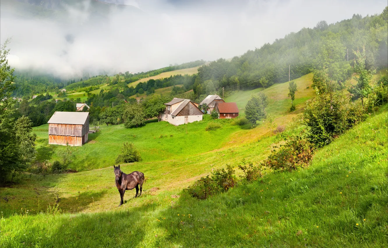 Фото обои трава, туман, лошадь, дома, склон, сопки