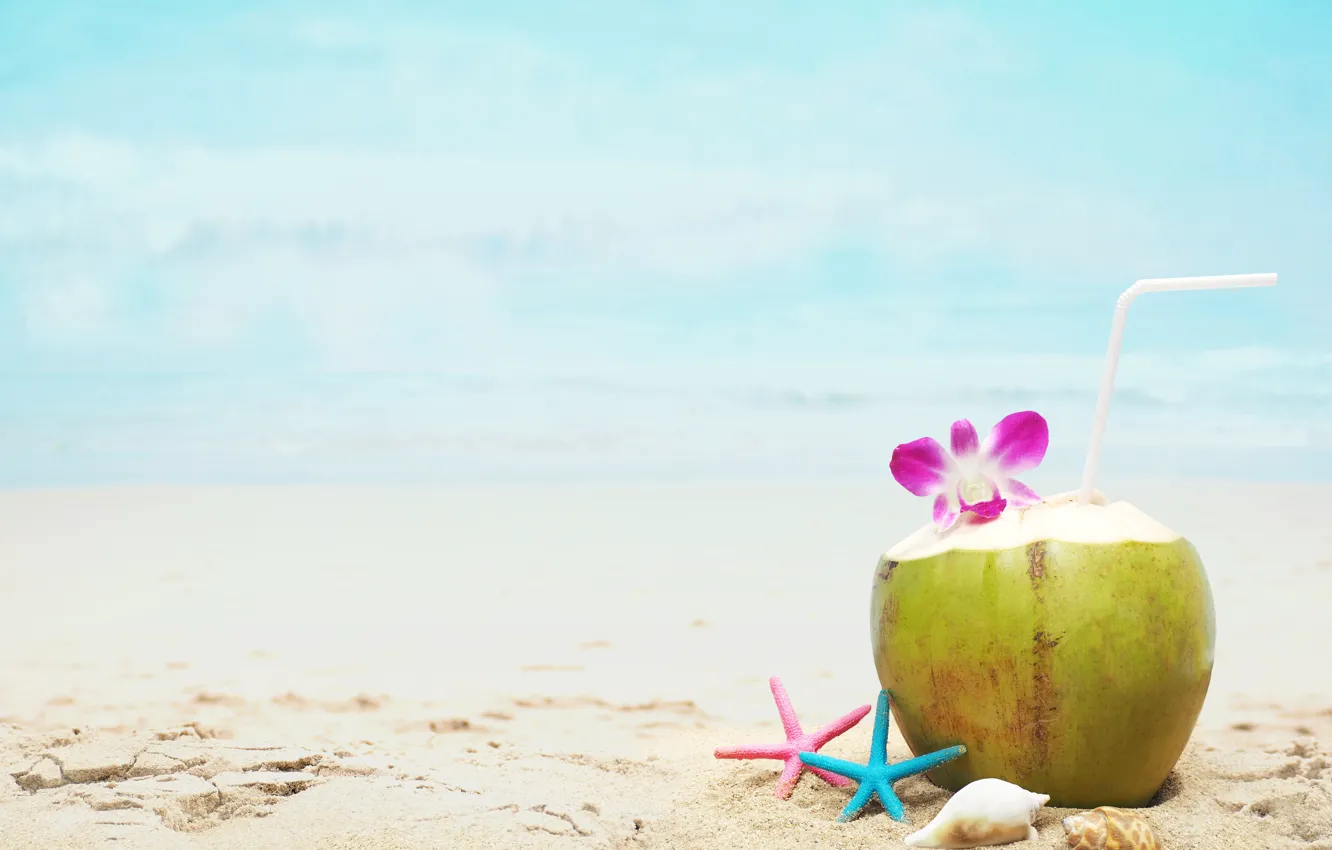 Фото обои песок, море, пляж, лето, отдых, кокос, коктейль, ракушки
