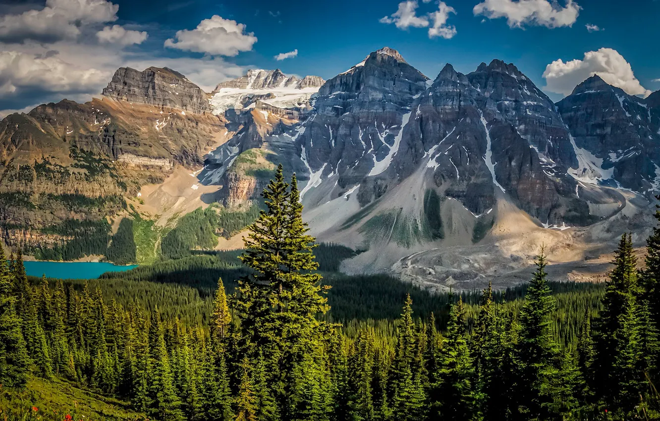Фото обои лес, горы, озеро, Канада, Альберта, Banff National Park, Alberta, Canada