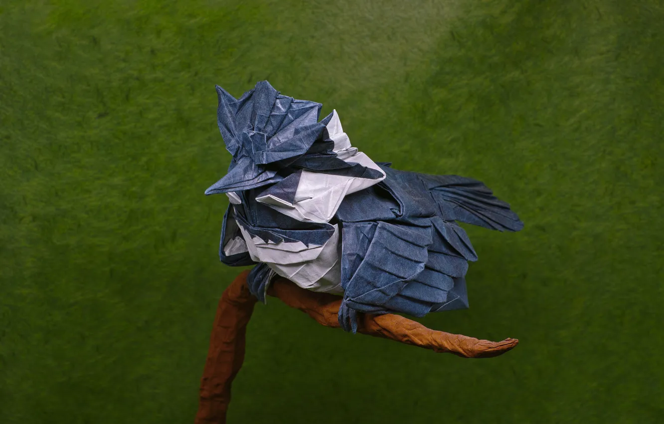 Фото обои бумага, фон, птица, оригами
