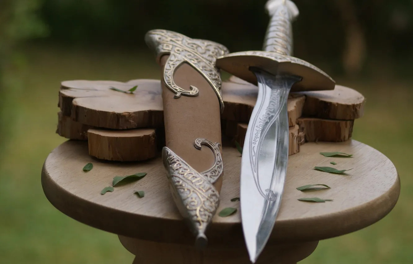 Фото обои metal, sword, weapon, nature, wood, fairy, leaves, garden