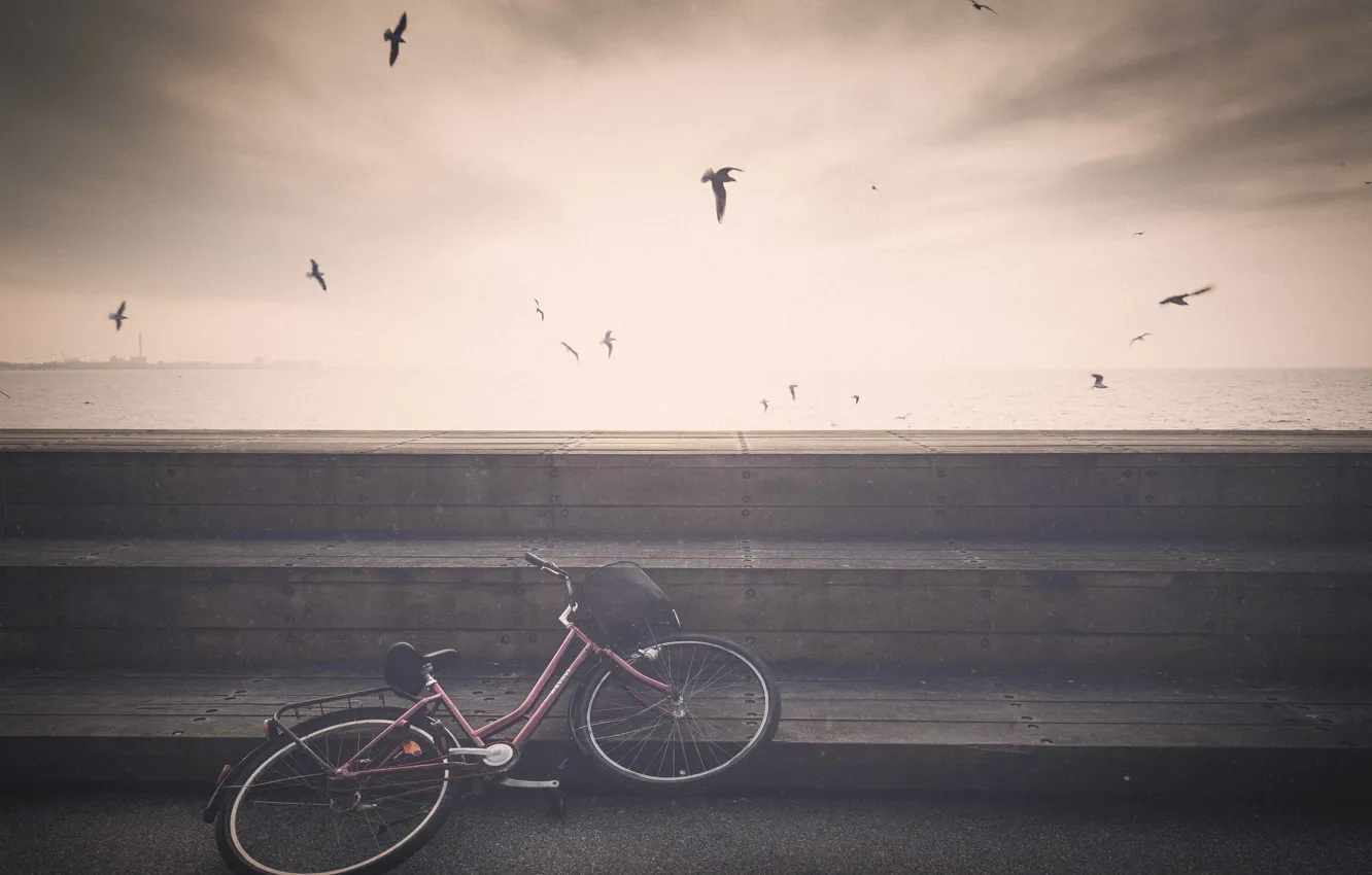 Фото обои bike, sea, seagulls