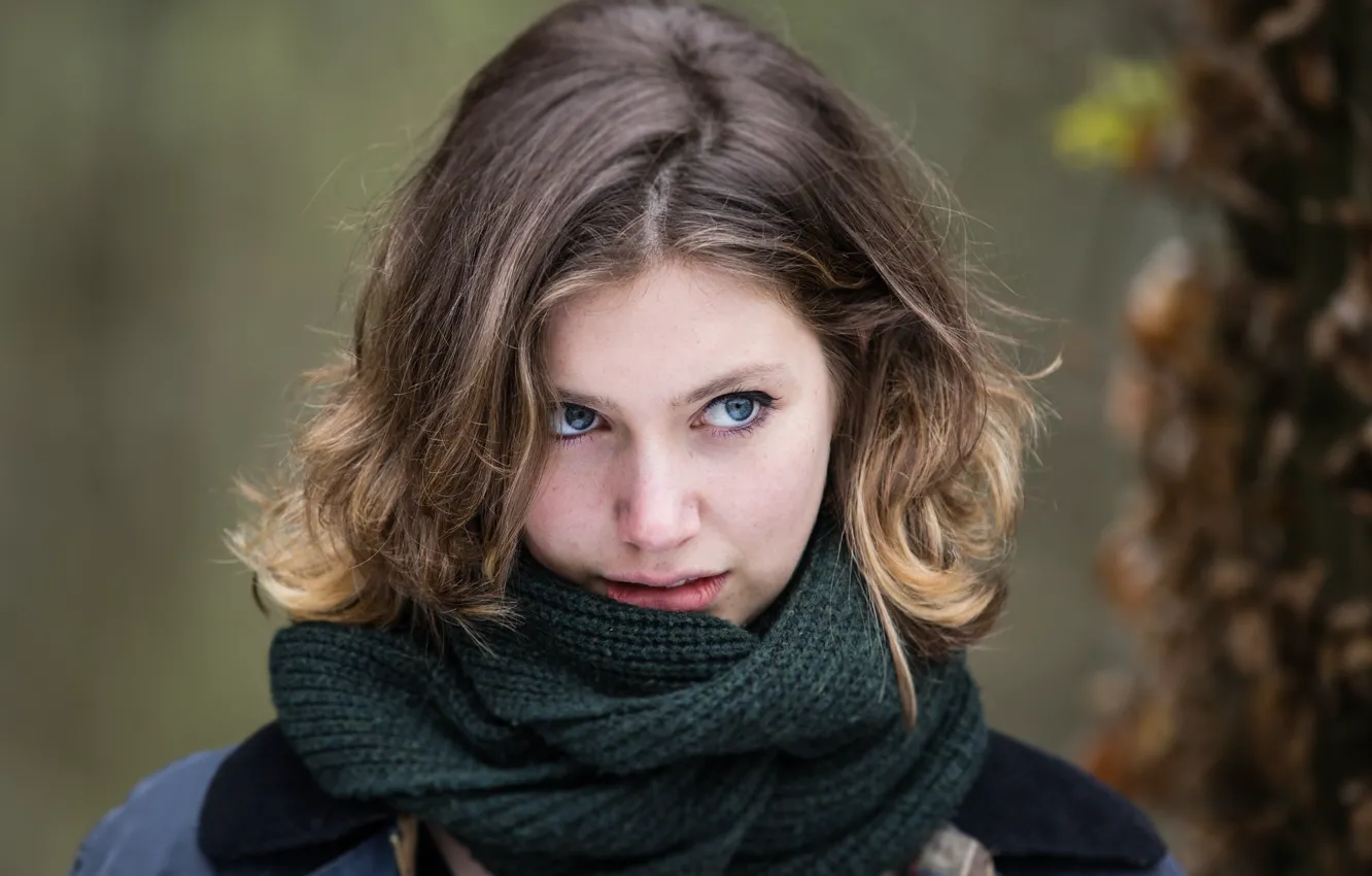 Фото обои взгляд, портрет, серые глаза, красивая девушка, боке, bokeh, beautiful girl, ствол дерева