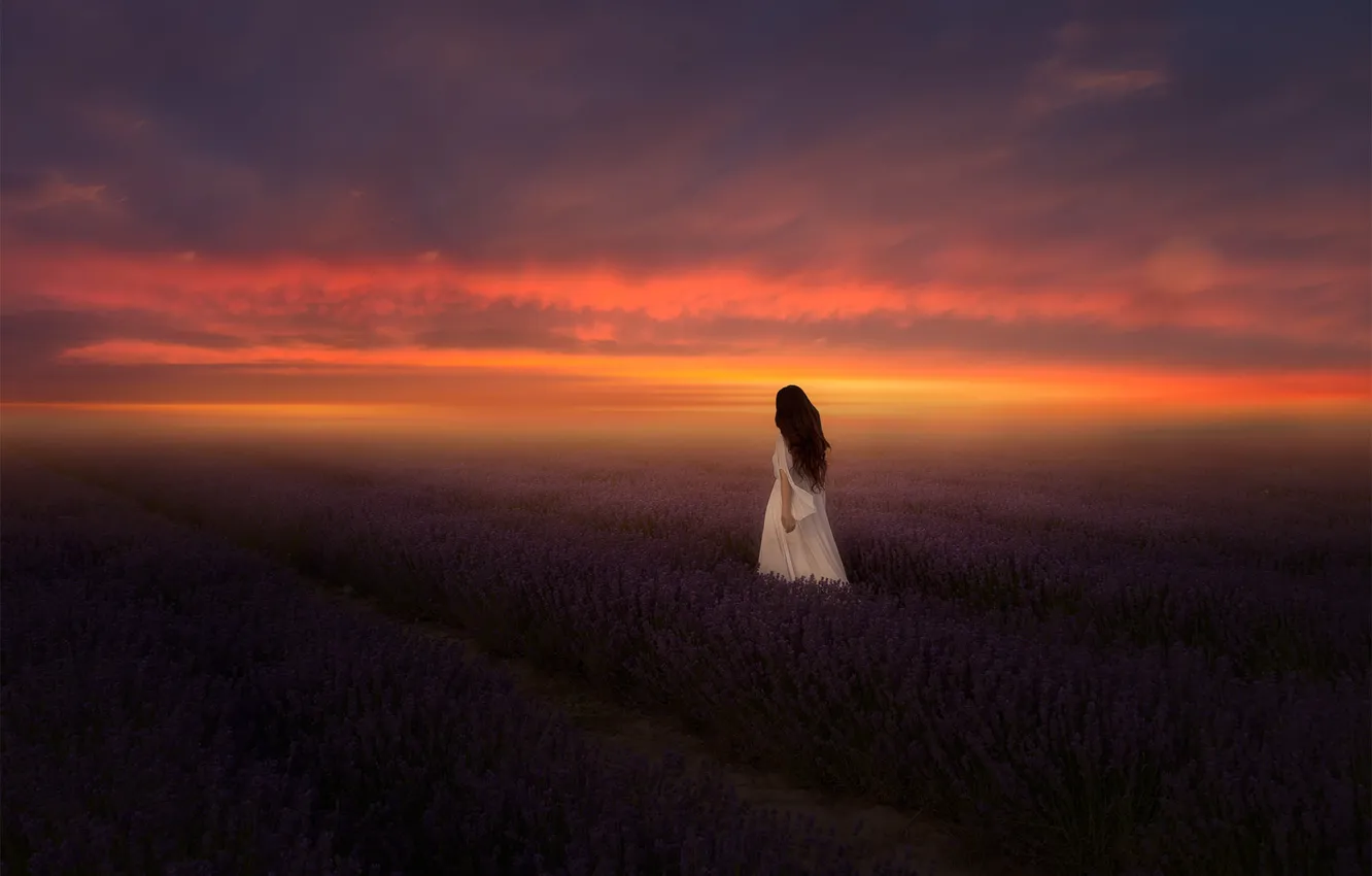 Фото обои небо, девушка, облака, закат, цветы, туман, настроение, рассвет