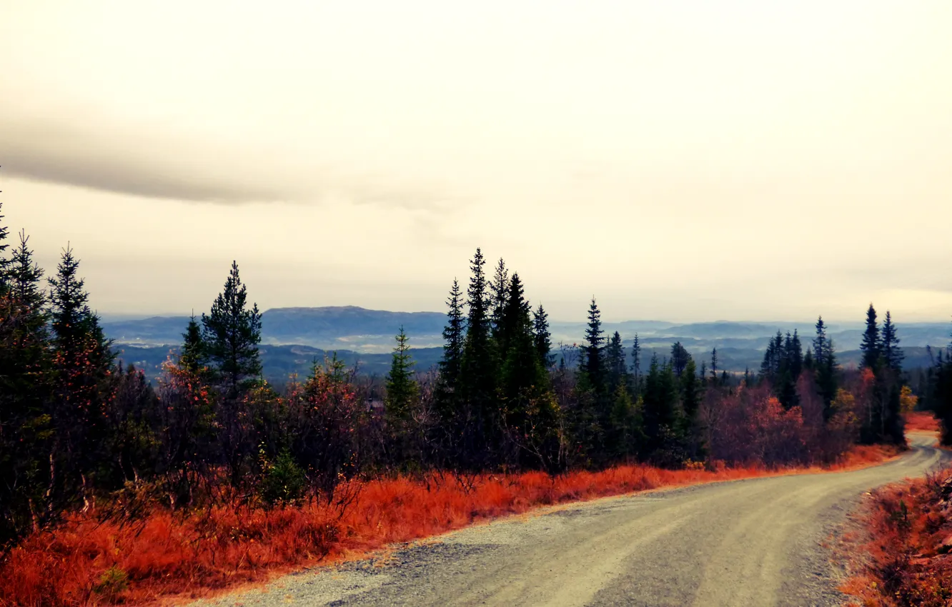 Фото обои дорога, осень, лес, Норвегия