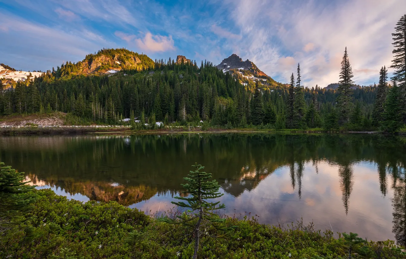 Фото обои лес, небо, горы, отражение, берег, ели, США, водоем