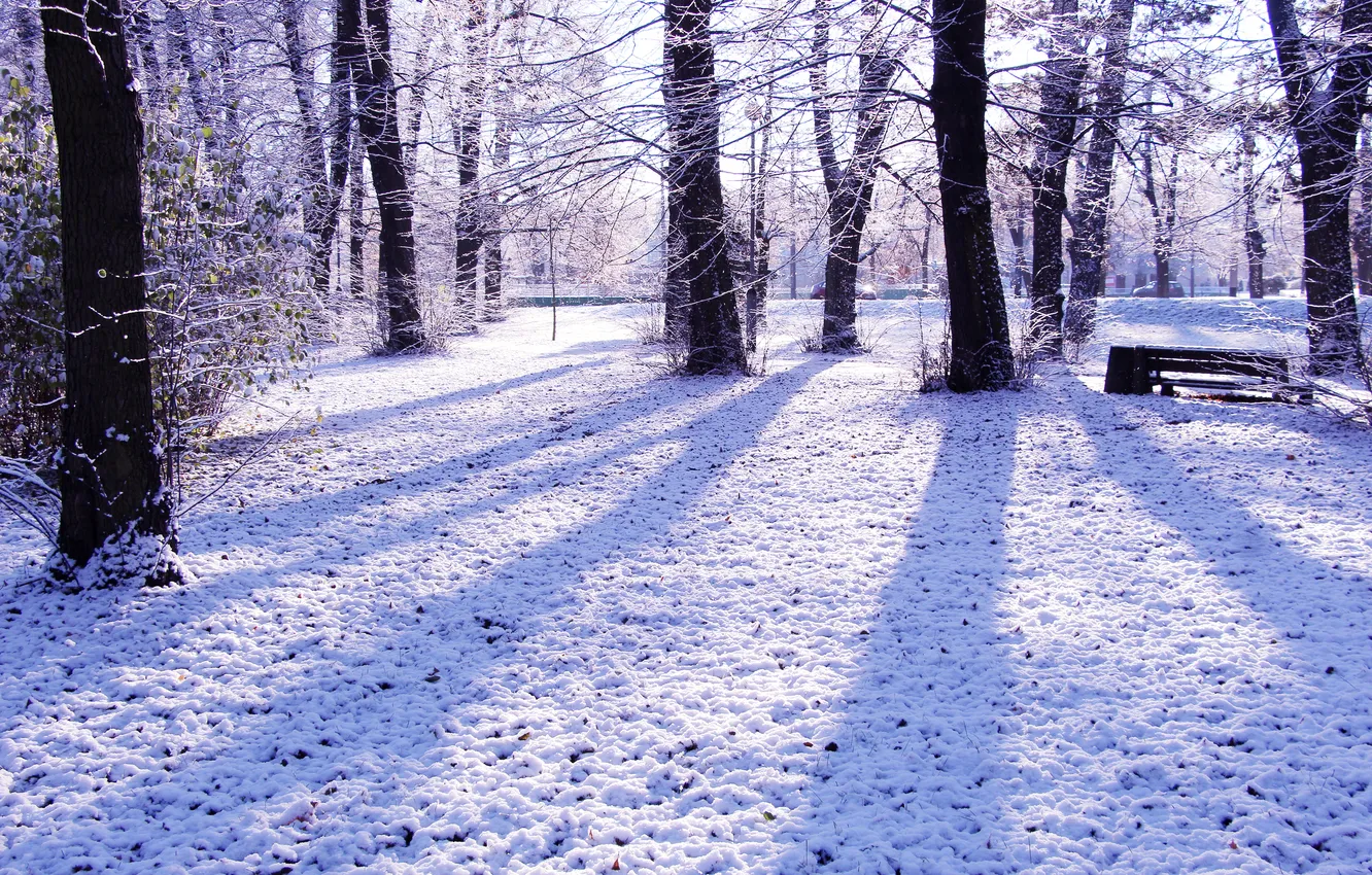 Фото обои park, winter, snow, cold