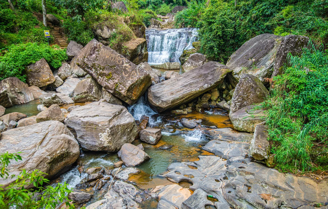 Фото обои лес, камни, водопад, речка, Шри-Ланка, Nuwara Eliya