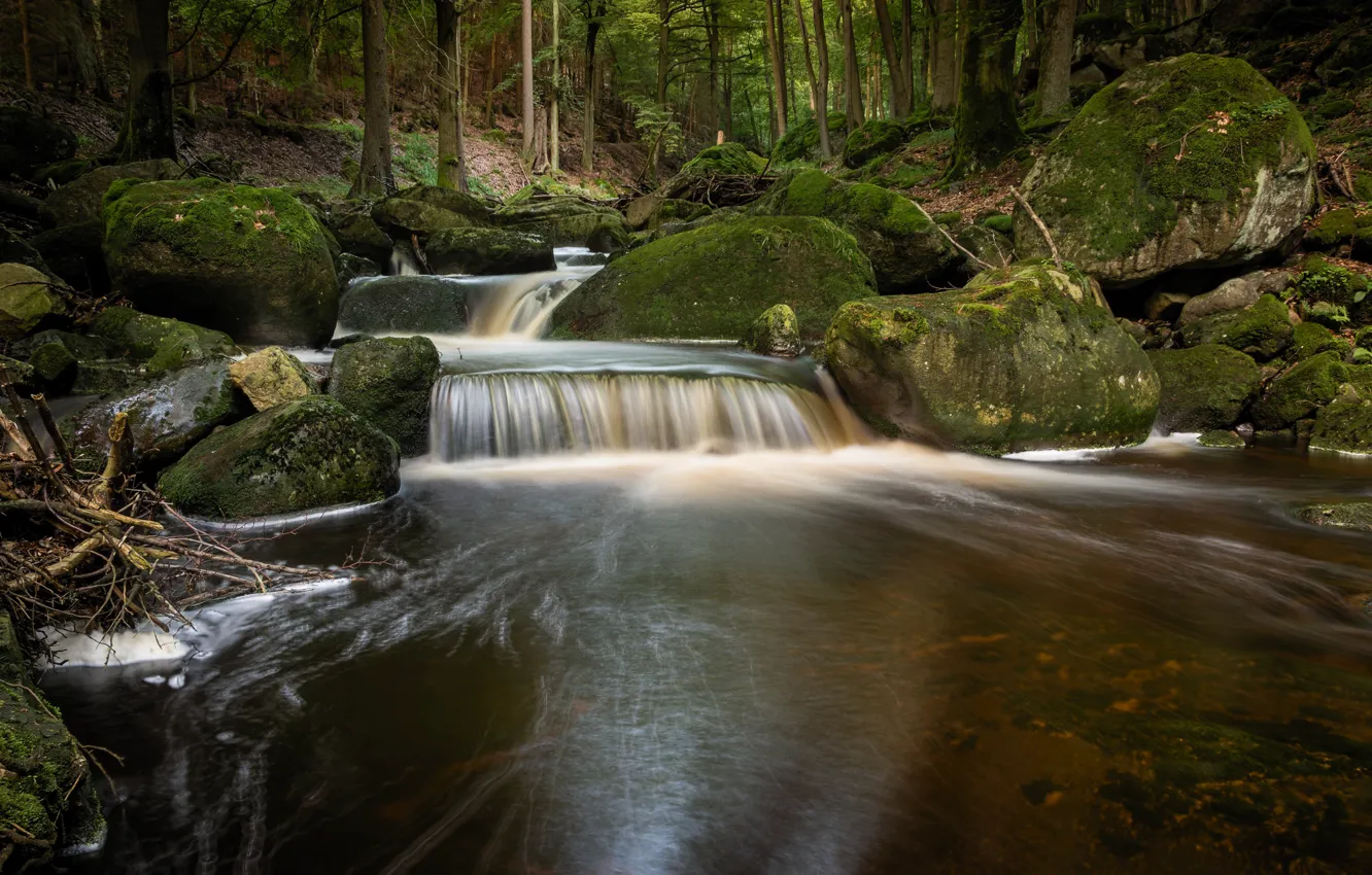 Фото обои лес, река, камни, водопад, hdr, река в лесу