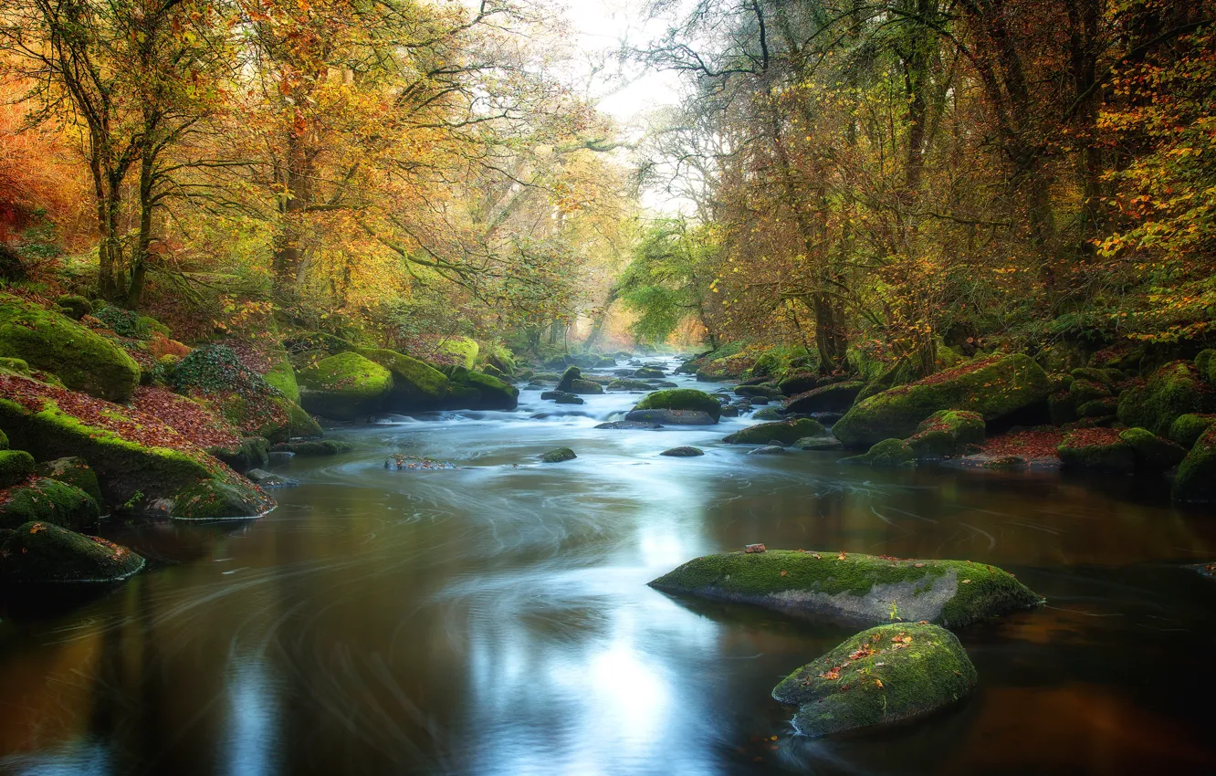 Фото обои осень, лес, река, камни, листва, речка, водоем, берега