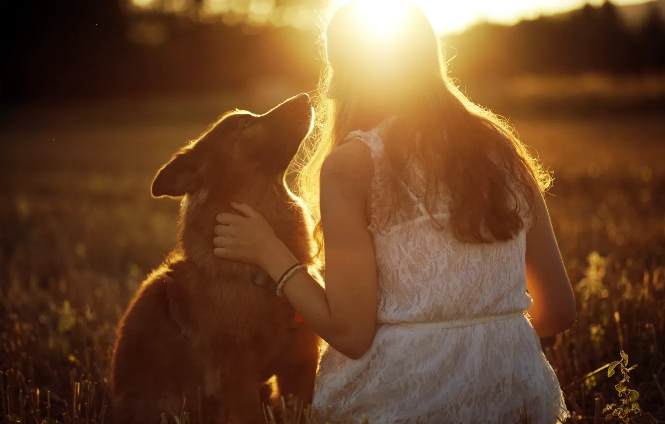 Фото обои девушка, свет, настроение, собака